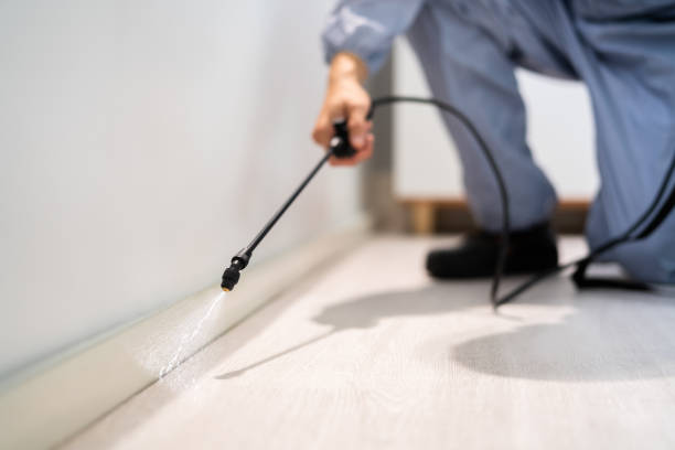 Professional exterminator conducting IPM assessment in Davis Junction